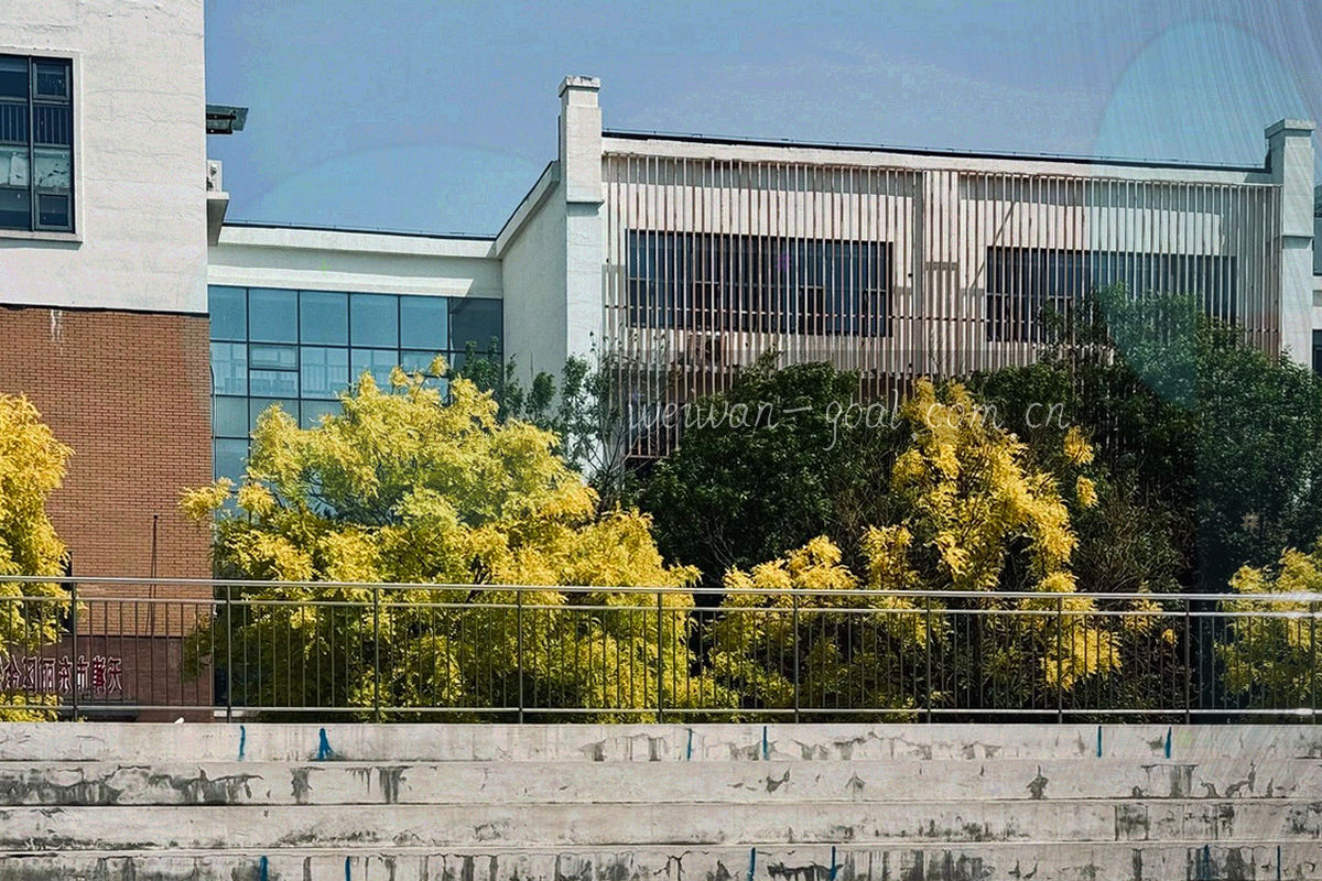 射门分布热区与折线图叠加的矢量画面
